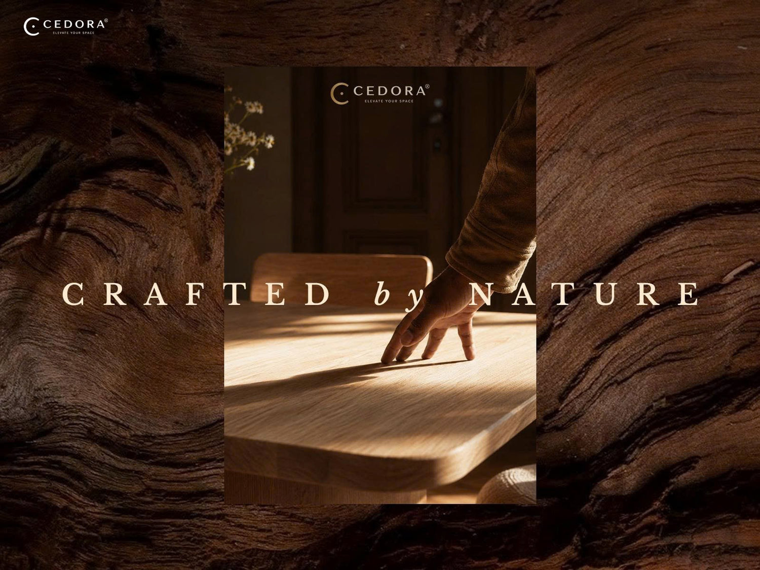 Crafted by Nature - a hand resting on a sunlit timber tabletop, framed by close-up timber grain