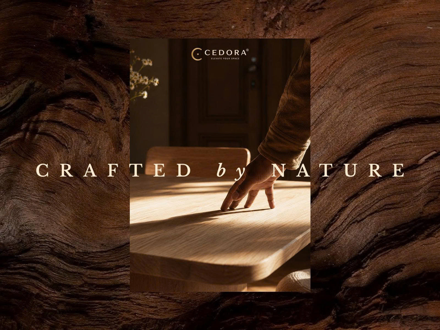 Crafted by Nature - a hand resting on a sunlit timber tabletop, framed by close-up timber grain