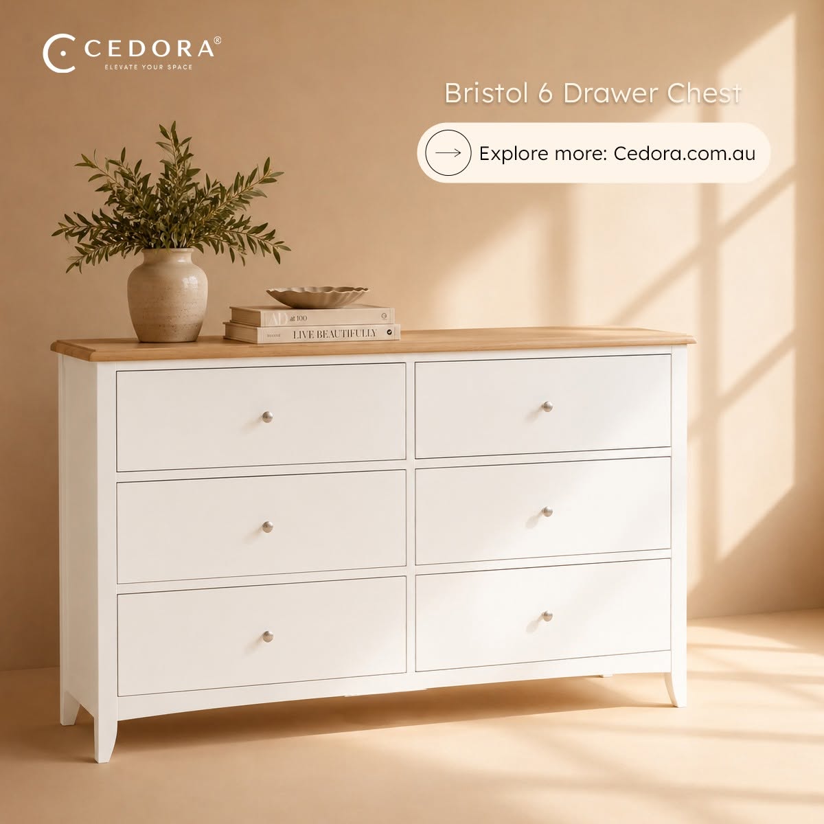 Bristol Pine 6 Drawer Chest topped with a potted olive branch and books on a warm peach backdrop